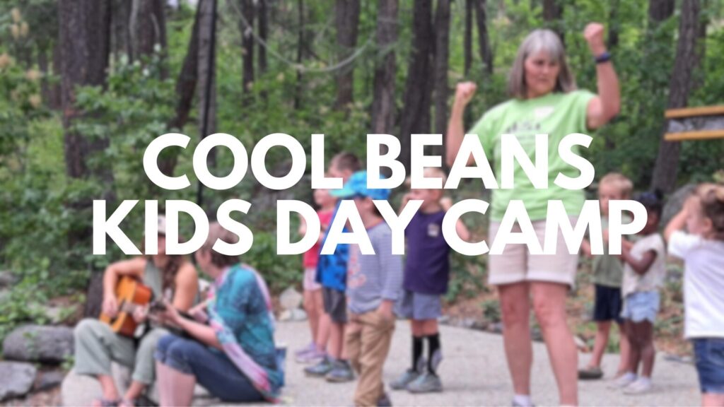 The programs featured image